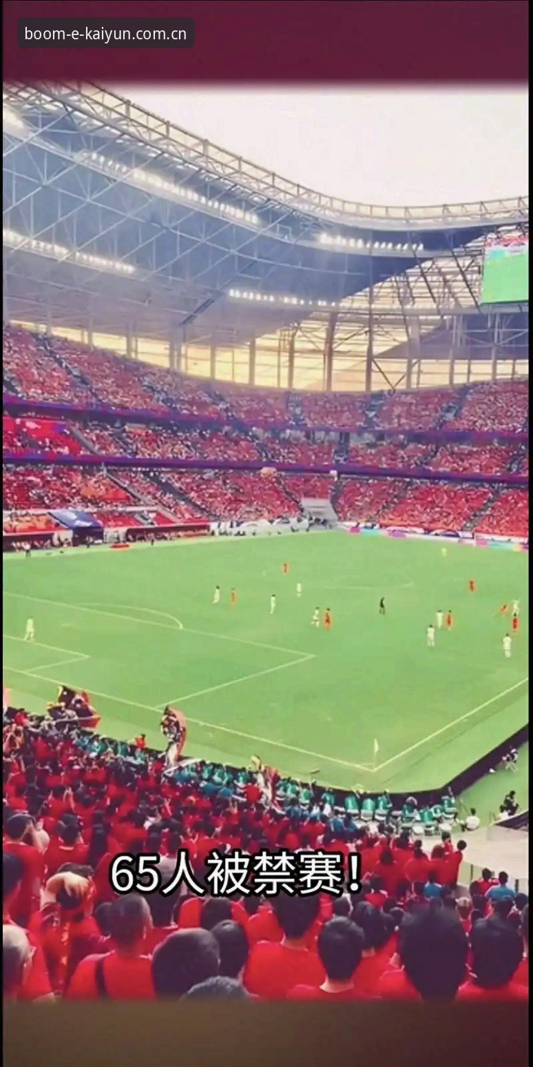 足协第三批禁足名单深度解析：终身禁赛vs五年禁令，中国足球反腐风暴再升级